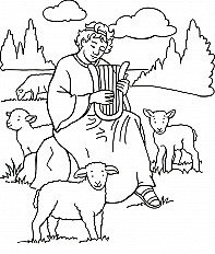 Salmo
