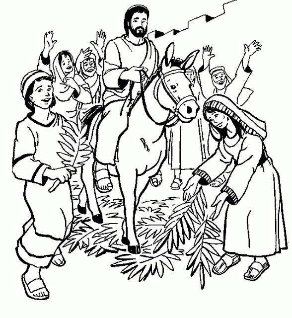 ¡Hosana en las alturas! Ingresa el Mesías Salvador